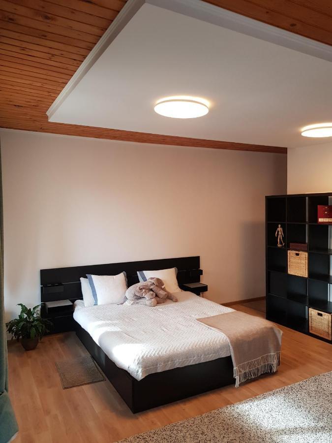 Forest By Olala Homes * Sinaia